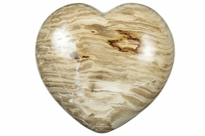Polished Petrified Wood Heart - Australia #314469